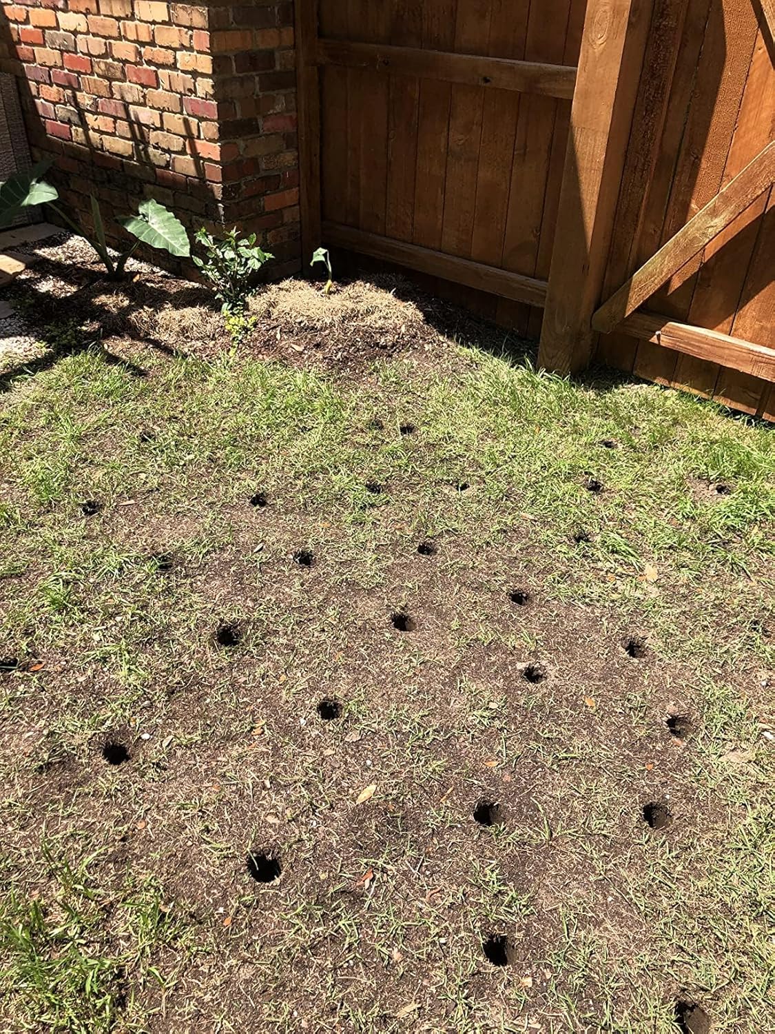 Edward Tools 5 in 1 Long Handle Garden Tool - Sturdy Steel Pro Grade Bulb Planter, Long Handle Weeder, Sod Plugger, Soil Probe, Transplanter - Step, Twist, Pull - Multi Depth Options