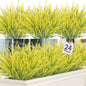 Ouddy Decor 24 Bundles Artificial Lavender Fake Flowers Faux Plastic Plants for Home Wedding Kitchen Garden Patio Window Box Office Table Centerpieces Indoor Outdoor Decor, Yellow