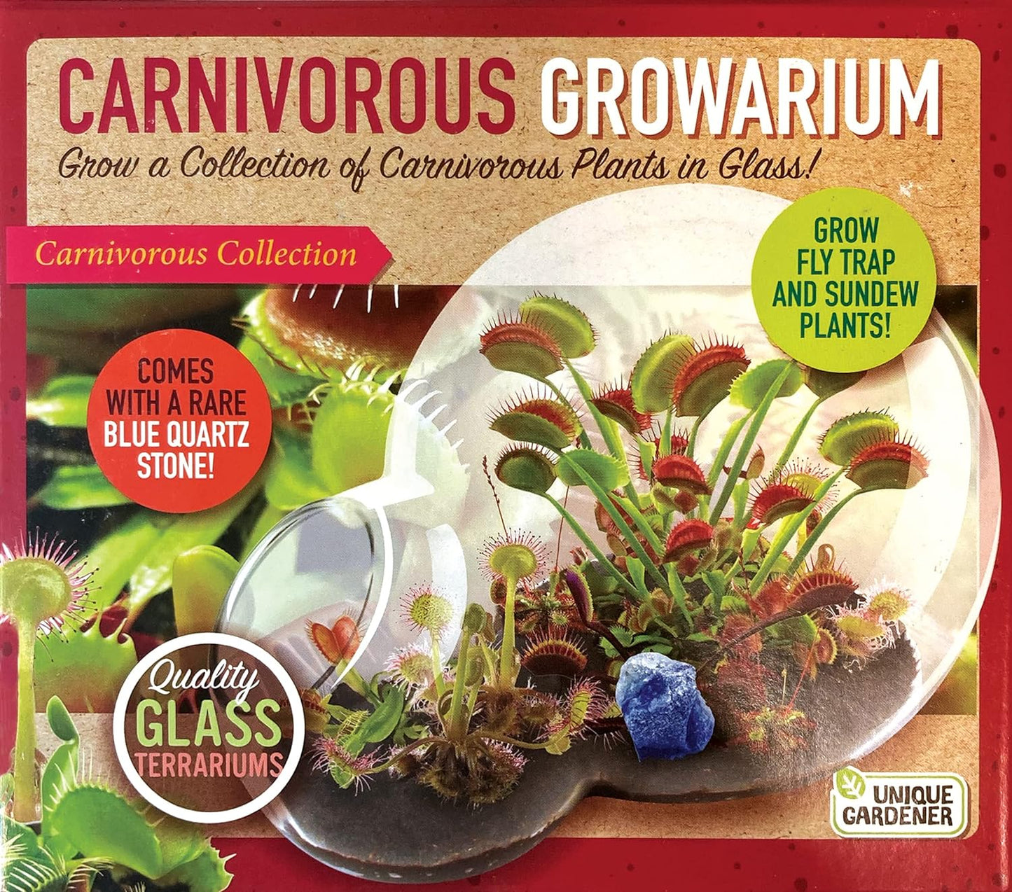 Grow Your Own Venus Fly Trap, Kids Garden Glass Terrarium Starting Kit to Sprout Flytrap and Sundew Plants, Includes Seed and Complete Terrarium Supplies for The Plant to Thrive