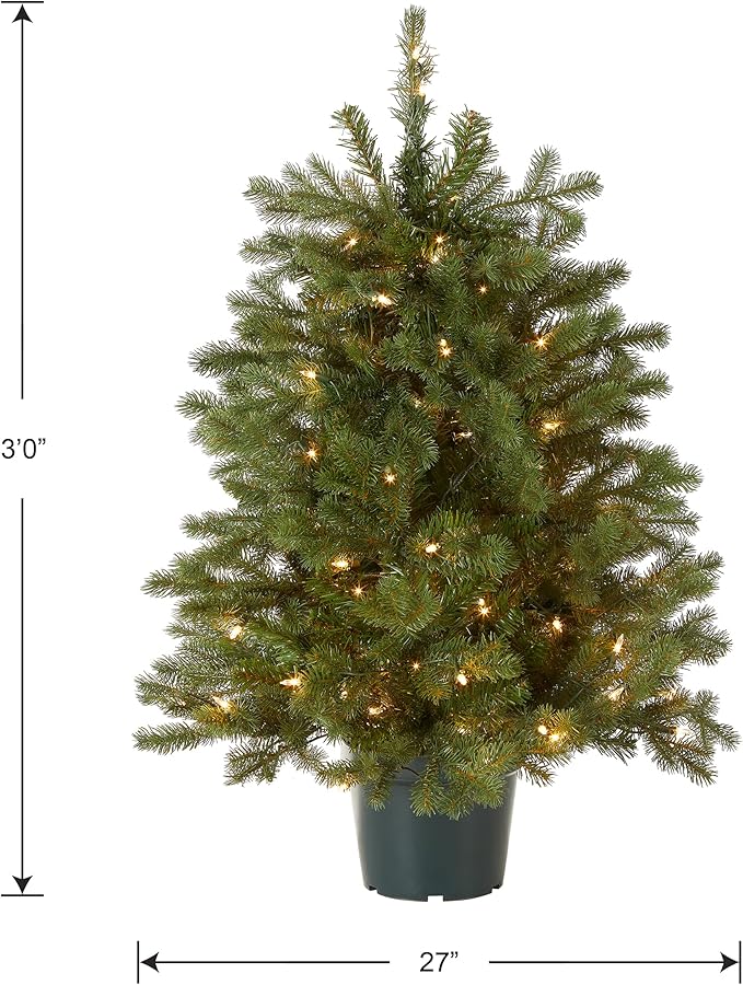 National Tree Company 3 ft Pre-Lit Hampton Spruce Mini Artificial Christmas Tree, 100 Clear Lights, 579 Tips, Green Growers Pot