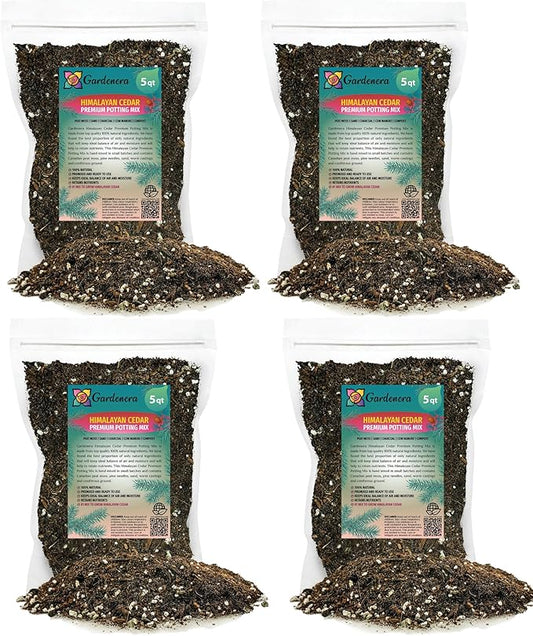 Gardenera Premium Himalayan Cedar Potting Soil Mix - Perfect Balance of Nutrients, Drainage, and Aeration for Healthy Cedar Trees - 20 Quart