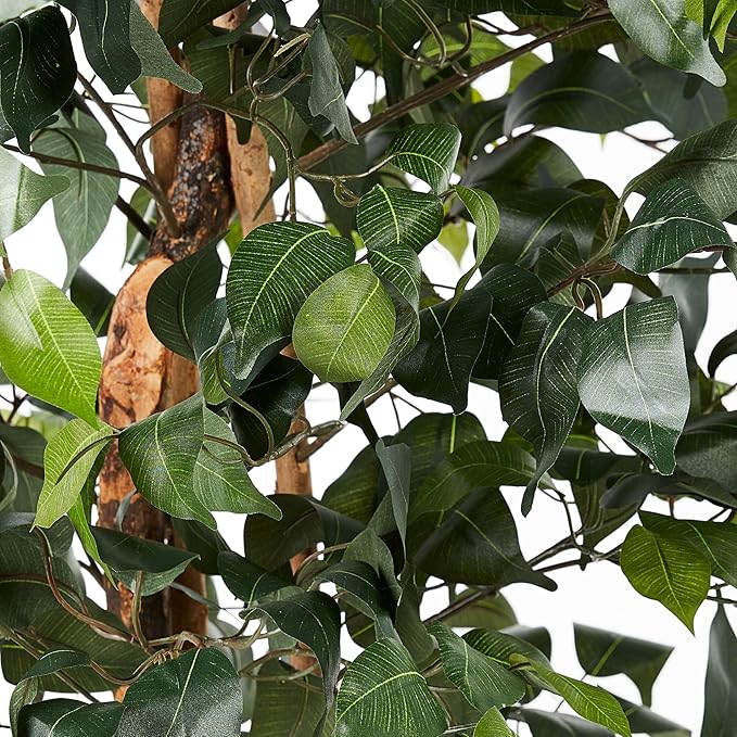 Nearly Natural 6ft Triple Trunk Artificial Ficus Tree with Natural Wood Trunks, Fake Tree for Indoor Home Décor, Faux Ficus Tree with Black Nursery Pot