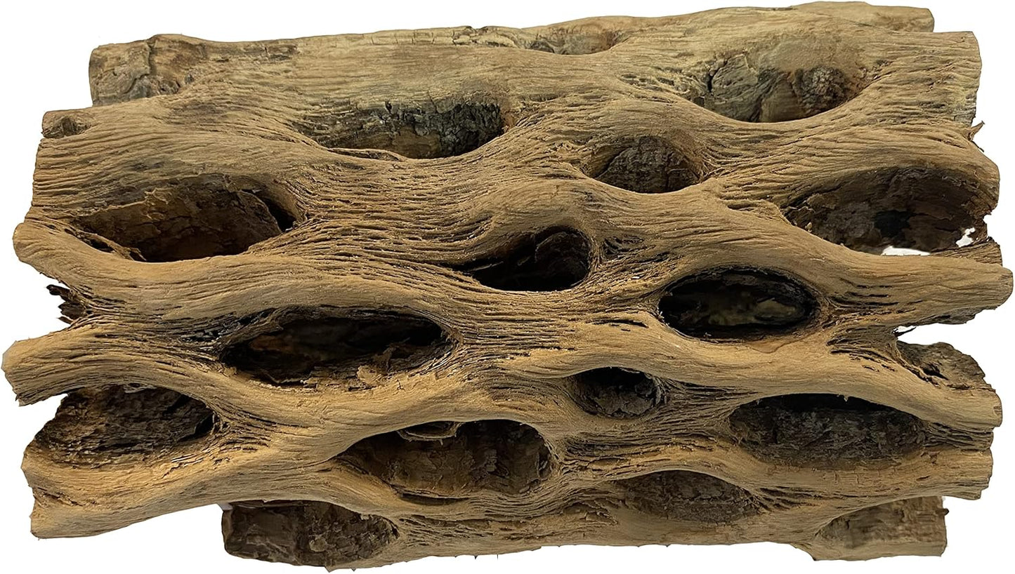 Awesome Aquatic 3 in Plus Thick XL Teddy Bear/Chain Fruit/Buckhorn/Staghorn Cholla Wood Hollow Tube Wood Cactus Skeleton Tubes 3” Plus Thick/Diameter (6 in x 3 in Plus Diameter)