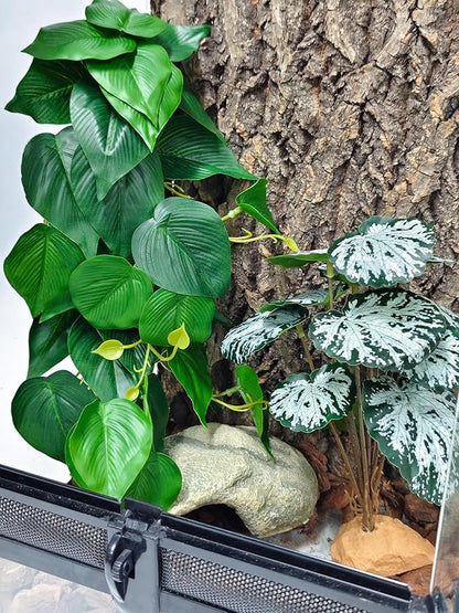 Woyrise Reptile Plants, Terrarium Hanging Plant Vines, Artificial Leaves with Suction Cup, Bearded Dragon Tank Accessories for Gecko Lizard Snake Frog Tortoise Decorations - Epipremnum aureum