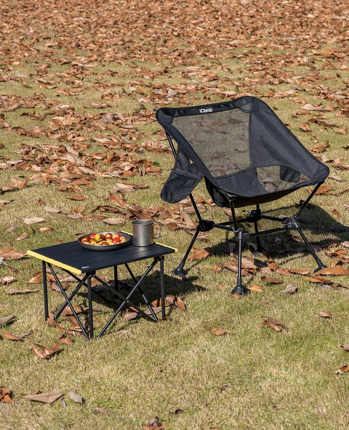 iClimb Ultralight Compact Camping Folding Table with Carry Bag (Reinforced Silver - S)