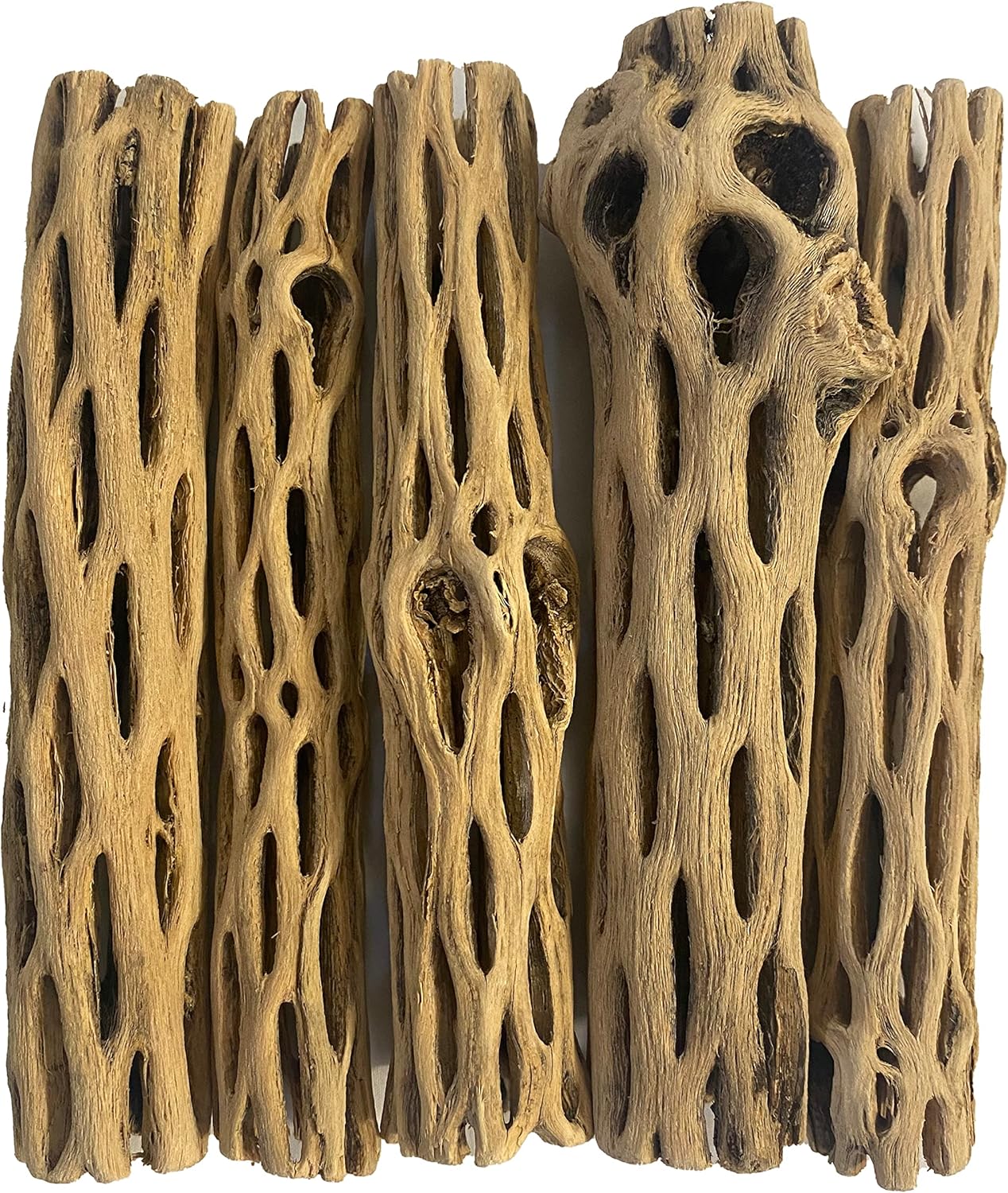 Awesome Aquatic Natural Cholla Choya Wood 5 Pieces 6” for Shrimp Habitat and Food Treat Hermit Crabs Plecos Aquarium Decoration Lowers pH Hideouts and Chew Toys Reptiles Thorn Free Dried Organic