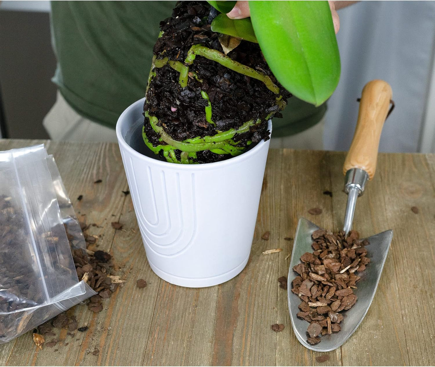 Houseplant Mulch (2 Quarts), Small Bark Wood Chips for Indoor, Patio, Potting Media, and Much More!