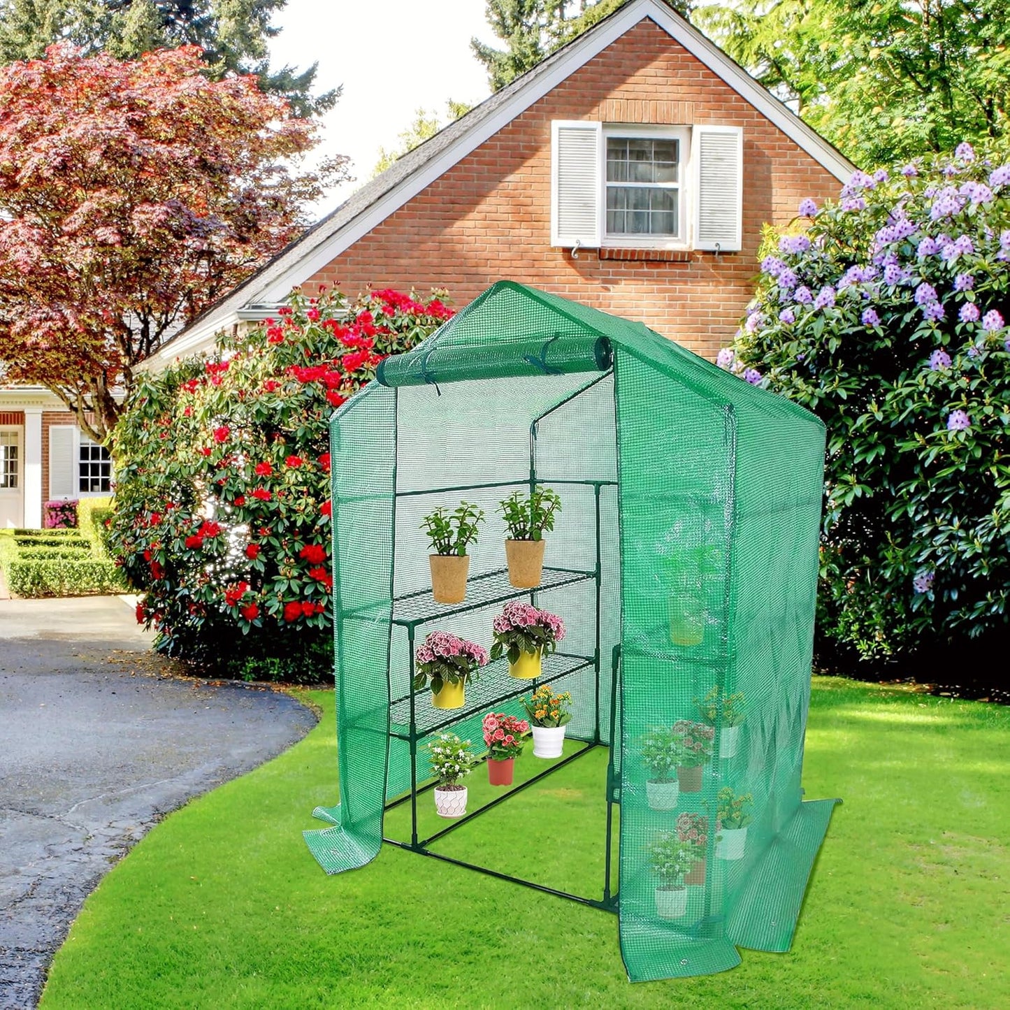 Walk-in Greenhouse Replacement Cover with Roll-Up Zipper Door- 56"x56"x76" PE Plant Gardening Greenhouse Cover for Gardening Plants Cold Frost Protection Wind Rain Proof (Frame Not Include)
