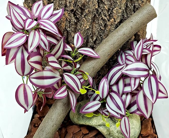 Woyrise Reptile Plants, Terrarium Hanging Plant Vines, Artificial Leaves with Suction Cup, Bearded Dragon Tank Accessories for Gecko Lizard Snake Frog Tortoise Decorations - Purple Zebrina