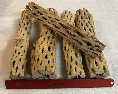 Awesome Aquatic 12 inch 2-3” Thick XL Teddy Bear/Chain Fruit/Buckhorn/Staghorn Cholla Wood Hollow Tube Wood Cactus Skeleton Tubes 12” x 2-3” Thick/Diameter (12 in x 2-3 in Diameter)