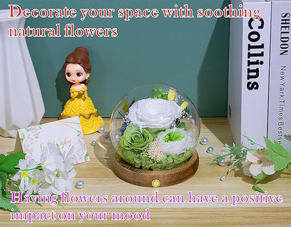 Valley of Rain & Forest Long-Lasting Real Flowers, Unique Floral Gift For you to send Love for All Occasions, for Indoor Decoration (White & Green Roses Arrangement)