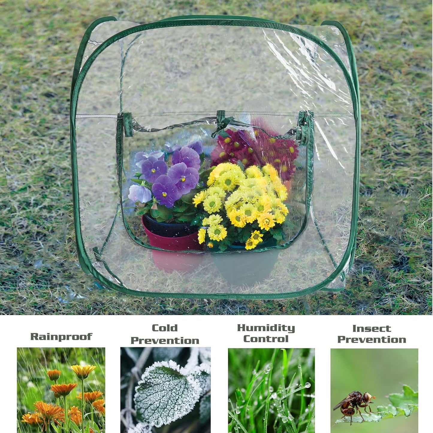 Medium Pop Up Greenhouse, Versatile Greenhouses for Outdoors or Indoor Greenhouse.