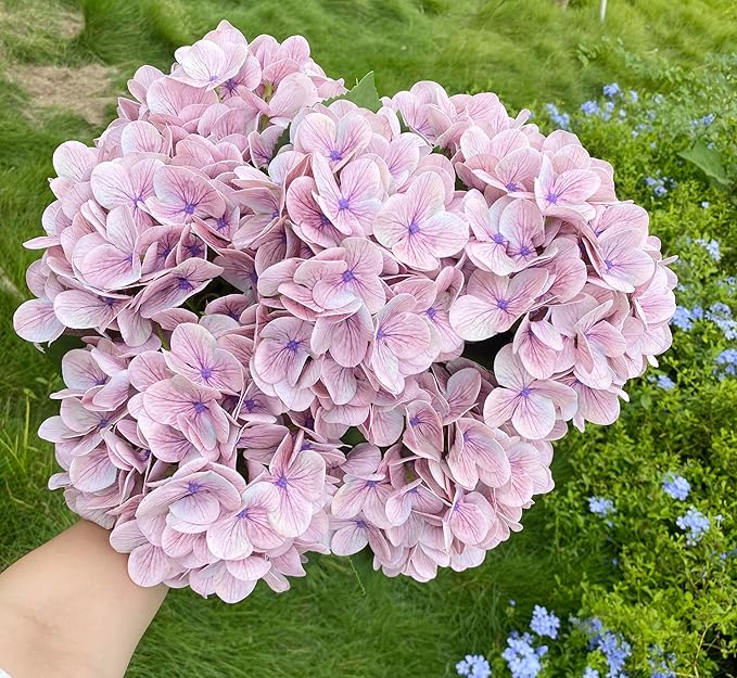 4PCS Ash Purple Hydrangea Artificial Flowers，Real Touch 23 inch Latex Fall Hydrangeas with Long Stems & Leaves for Centerpieces Tables