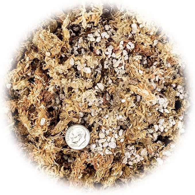 GARDENERA Sphagnum Moss Potting Mix for Carnivorous Plants, Moss and Perlite Blend for Potting Venus Fly Traps, Sarracenia, Pitcher Plants - 75% Sphagnum Moss + 25% Perlite - Made in USA - 5 Quart