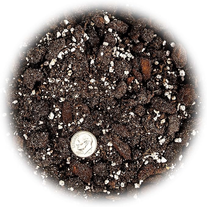 Gardenera Professional Succulent Soil Premium All Purpose Blend | Pre-Mixed Ready to Use for Cactus and Succulents | Sphagnum Peat Moss, Perlite, New Zealand Pine Bark - Made in USA - 5 Quart