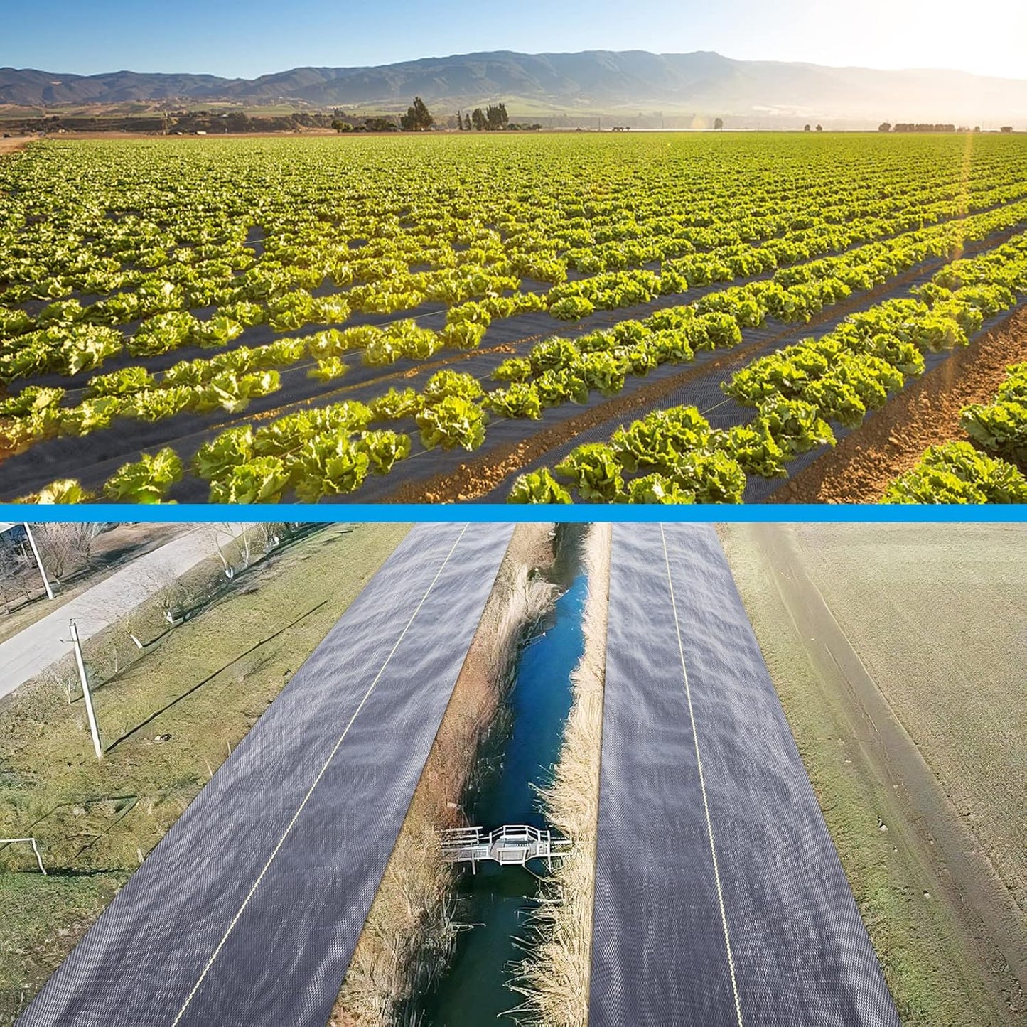 3ft x50ft Black Weed Barrier Landscape Premium Fabric-Heavy Duty Woven Ground Cloth with Superior Permeability Weed Control Convenient Design