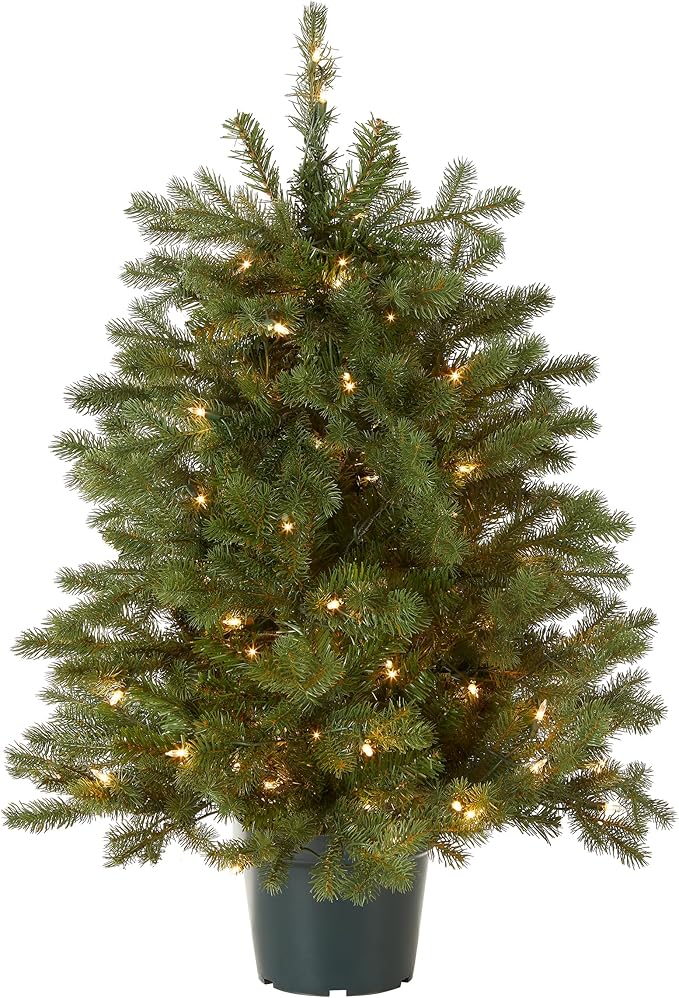 National Tree Company 3 ft Pre-Lit Hampton Spruce Mini Artificial Christmas Tree, 100 Clear Lights, 579 Tips, Green Growers Pot
