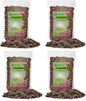 Gardenera Caladium Potting Mix - Unlock Robust Growth and Striking Leaf Color with Our High-Performance Formula - 20 Quart