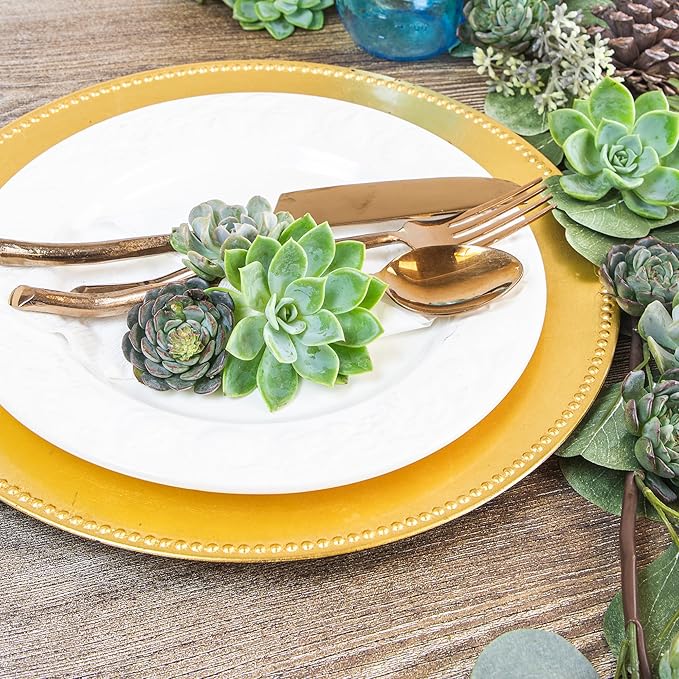 Altman Plants Premium Bulk Succulent Plants (50 Pack), 5 Unique Live Succulents in Sets of 10, Assorted Colors & Shapes, 2 in Pots