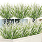 Ouddy Decor 12 Bundles Artificial Lavender Fake Flowers Faux Plastic Plants for Home Wedding Kitchen Garden Patio Window Box Office Table Centerpieces Indoor Outdoor Decor, White