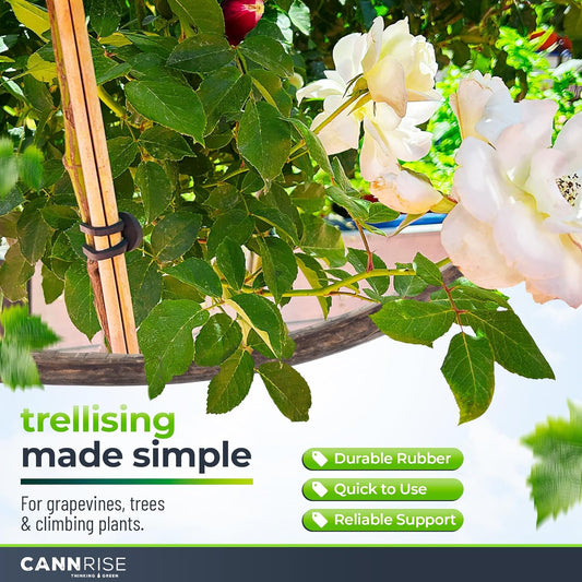 Anchor Rubber Bands for Trellising – 110 Pack of 5 cm/1.96 inches Rubber Bands for Outdoor Plant Support, Climbing Plants, Grape Vines, Trees – UV-Protected, Elastic, Multi-Purpose Use