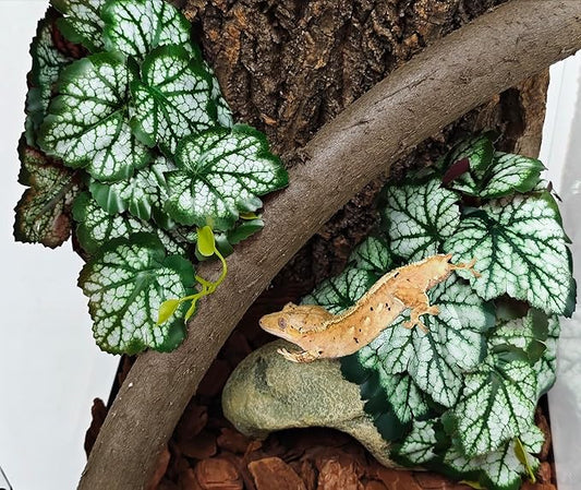 Woyrise Reptile Plants, Terrarium Hanging Plant Vines, Artificial Leaves with Suction Cup, Bearded Dragon Tank Accessories for Gecko Lizard Snake Frog Tortoise Decorations - Green Heuchera