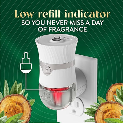 Air Wick Plug in Scented Oil Refill, 5ct, White Sage & Mahogany, Air Freshener, Essential Oils