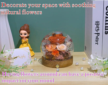 Valley of Rain & Forest Long-Lasting Real Flowers, Unique Floral Gift For You to Send Love for All Occasions, for Indoor Decoration (Orange Rose & Champagne Rose - Fall Themed)