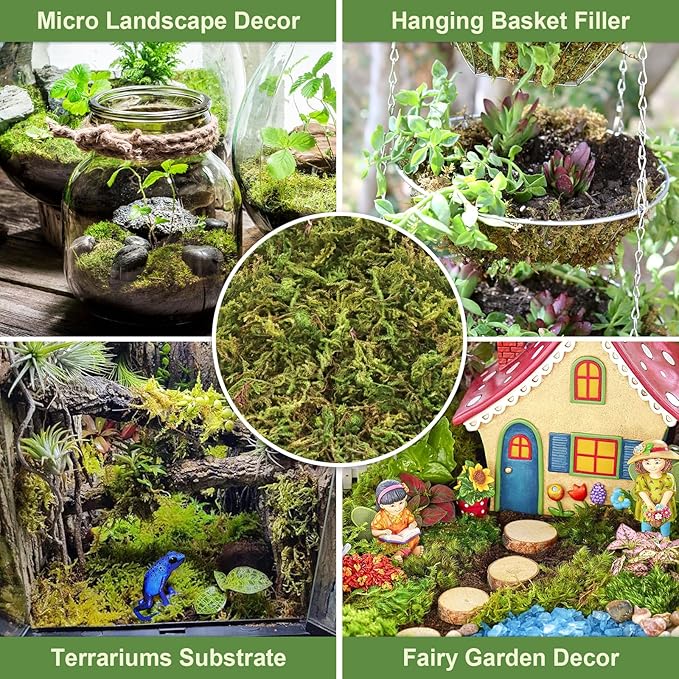 Legigo 2.6LBS Premium Forest Moss for Plants, 50 QT Natural Green Sphagnum Moss for Potted Plants, Dried Orchid Moss Potting Mix, Soft Real Moss Decorative for Houseplants Orchids Succulents Reptiles