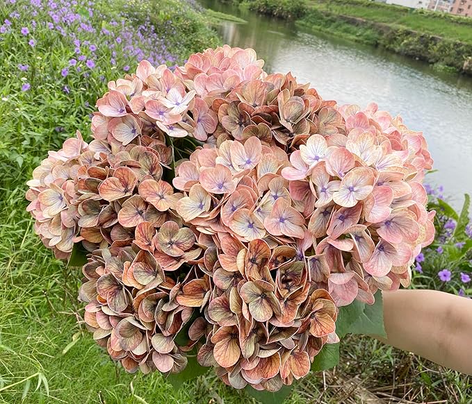 4PCS Latex Faux Real Touch Hydrangea Artificial Flowers，23 inch Fall Brown Fake Silk Hydrangeas，Soft Hydrangeas with Long Stems & Leaves - Mix Fall