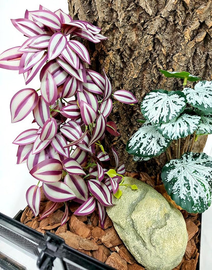Woyrise Reptile Plants, Terrarium Hanging Plant Vines, Artificial Leaves with Suction Cup, Bearded Dragon Tank Accessories for Gecko Lizard Snake Frog Tortoise Decorations - Purple Zebrina