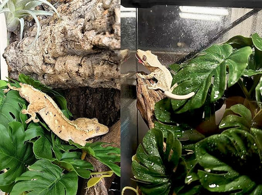 Woyrise Reptile Plants, Terrarium Hanging Plant Vines, Artificial Leaves with Suction Cup, Bearded Dragon Tank Accessories for Gecko Lizard Snake Frog Tortoise Decorations - Monstera