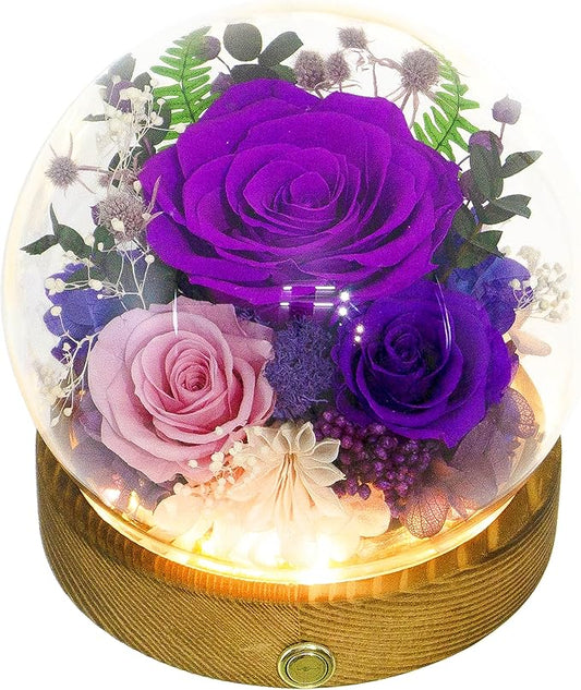 Valley of Rain & Forest Long-Lasting Real Flowers, Unique Floral Gift for You to Send Love for All Occasions, for Indoor Decoration (Dark Purple & Pink Roses Arrangement)
