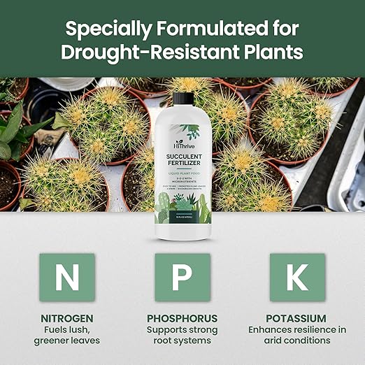 16oz Succulent Fertilizer - Makes 32 Gallons of Succulent Plant Food for Succulents Plants Live, Liquid Fertilizer for Succulents - Promotes Vibrant Leaves, Resilient Roots, and Plump Growth