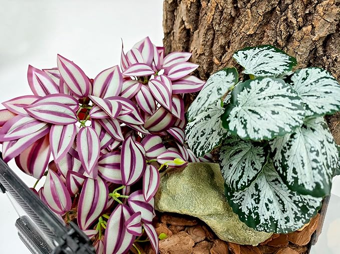 Woyrise Reptile Plants, Terrarium Hanging Plant Vines, Artificial Leaves with Suction Cup, Bearded Dragon Tank Accessories for Gecko Lizard Snake Frog Tortoise Decorations - Purple Zebrina
