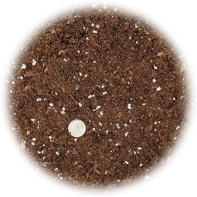 GARDENERA Money Tree Potting Soil Mix for Planting or Repotting Guiana Chestnut, Soil Blended to Properly Grow Money Tree Plants (4 Quart Bag)