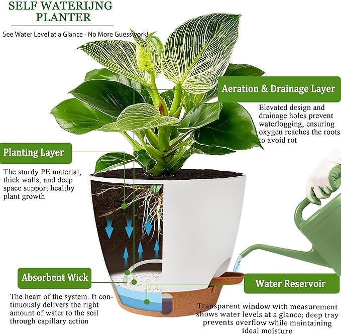 Self Watering Pots for Inoor Ourdoor Plants 8/7/6.5/6/5 Inch Plastic Planters with Drainage Holes & Water Level Indicator, Decorative House Flower Nursery Planting Pots with Saucers (White)