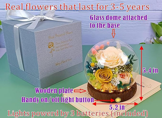 Valley of Rain & Forest Long-Lasting Real Flowers, Unique Floral Gift for You to Send Love for All Occasions, for Indoor Decoration (Champagne & Yellow Roses Arrangement)