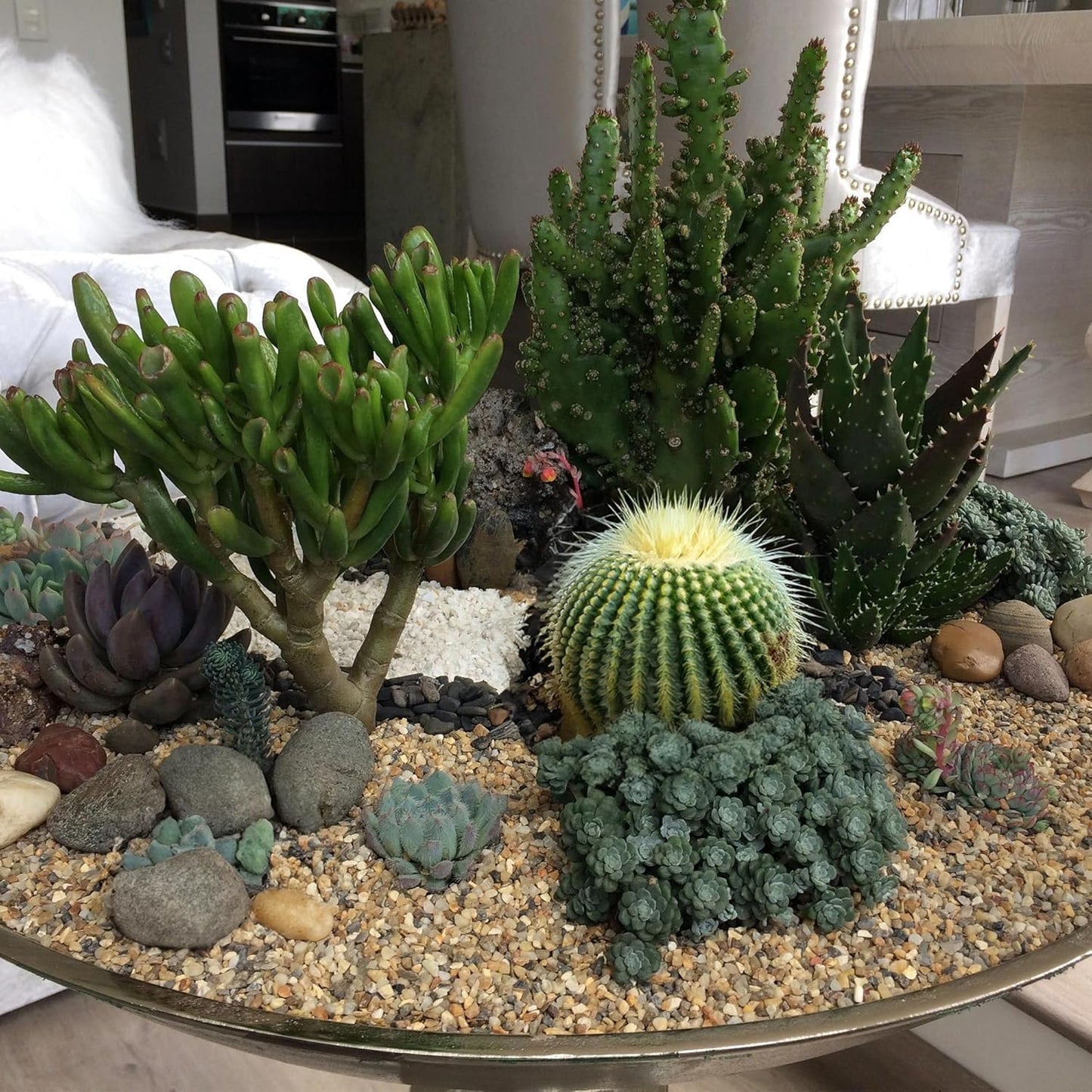 5 lbs Aquarium Gravel, 3-6mm Fish Tank Gravel, Succulent Cactus Pea Gravel for Indoor Plants, River Rocks for Gardening, Flower Pots, Vase Fillers, Garden Landscaping