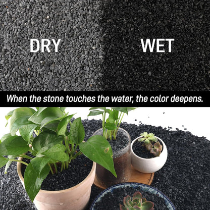45lb Black Cactus Pea Gravel Rocks,1/4 Inch Pebbles for Indoor Plants, Natural Succulent Rock and River Rocks Decorative for Aquariums, Vases, Outdoor Gardening, Top Dressing for Potted Plants