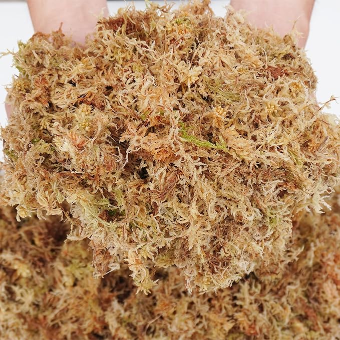 5oz Sphagnum Moss for Plant Propagation, Great Orchid Potting Mix, Help with Maintain Humidity
