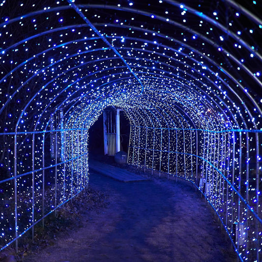 Solar String Lights for Outside, 39Ft 100 LED Solar String Lights Outdoor with 8 Modes，Solar Lights for Outside Waterproof for Yard, Fence,Balcony, Party,Christmas Tree Decorations (Blue&White)