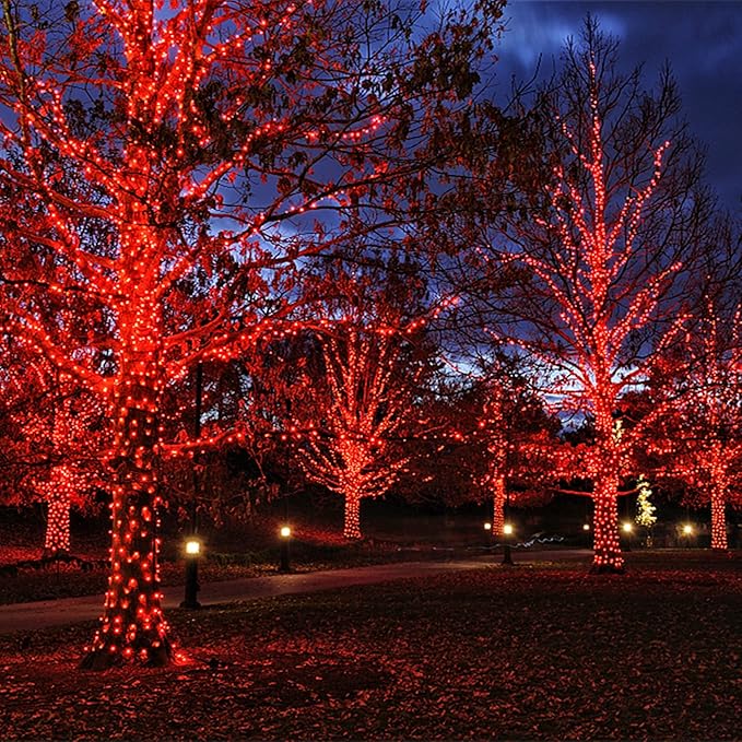 Red Christmas Lights Indoor Outdoor, 33 FT 150 Count Incandescent Mini String, 120V UL Certified Green Wire for Xmas Tree, Wreath, Patio, Holiday, Party, Home, Garden Decorations