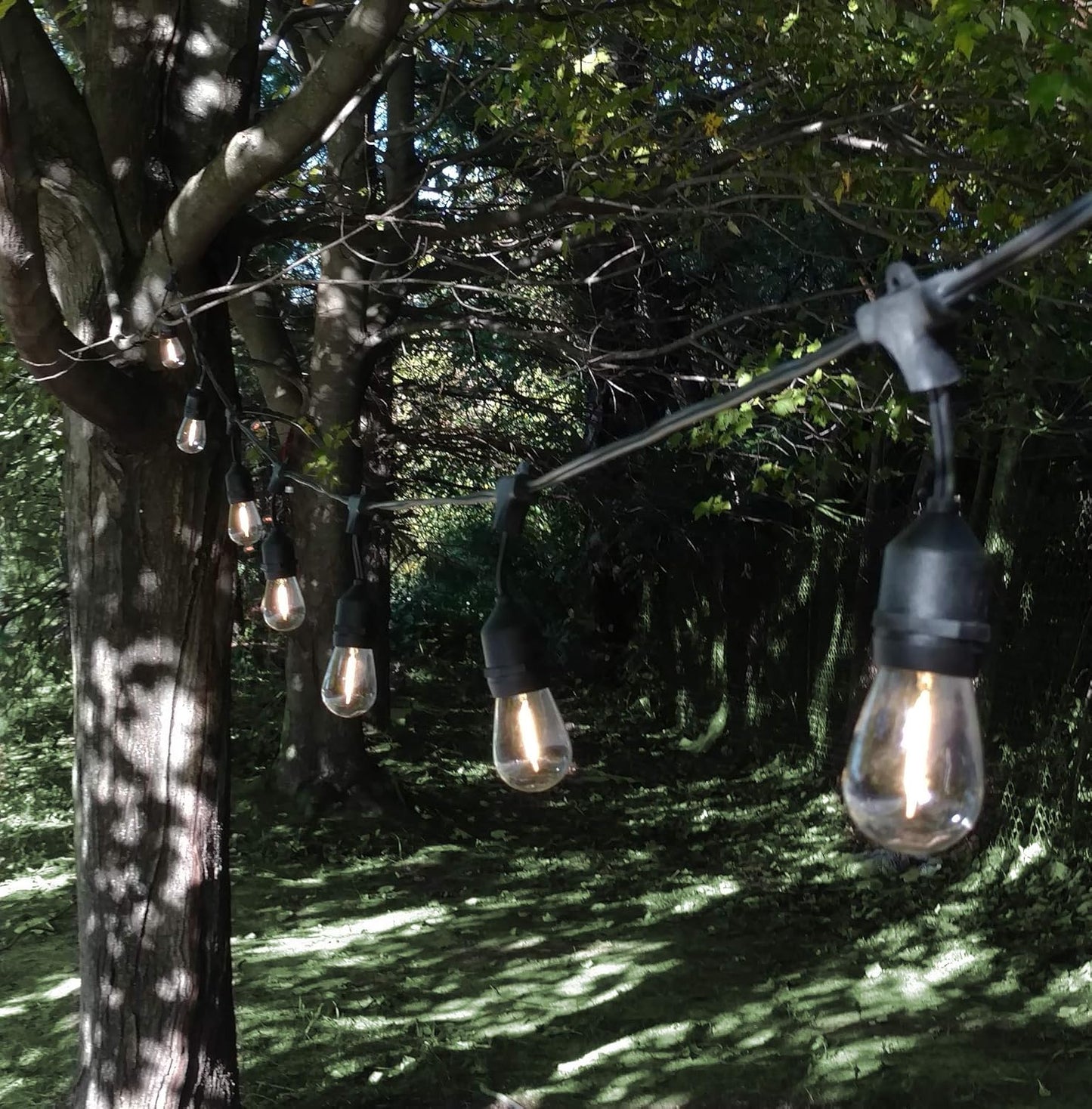 Hometown Evolution, Inc. 100 Foot E26 LED Outdoor Commercial String Lights with 50 Suspended Sockets and S14 LED Filament 1 Watt Bulbs