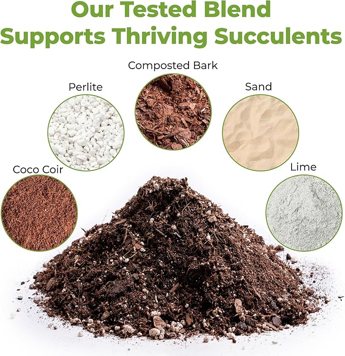 Succulent & Cactus Soil Mix by Perfect Plants (8QTS)