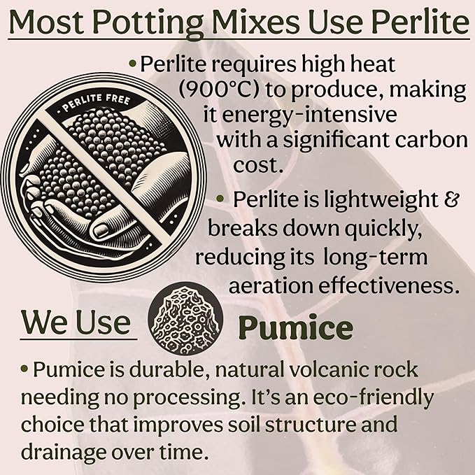 Craft Organic Houseplant Potting Mix, Elite House Plant Soil, Chunky, Well Draining Potting Soil for All Indoor Plants, Tropical Plants & Flowers, Sustainable & Peat Free, Less Prone to Gnats, 8QT