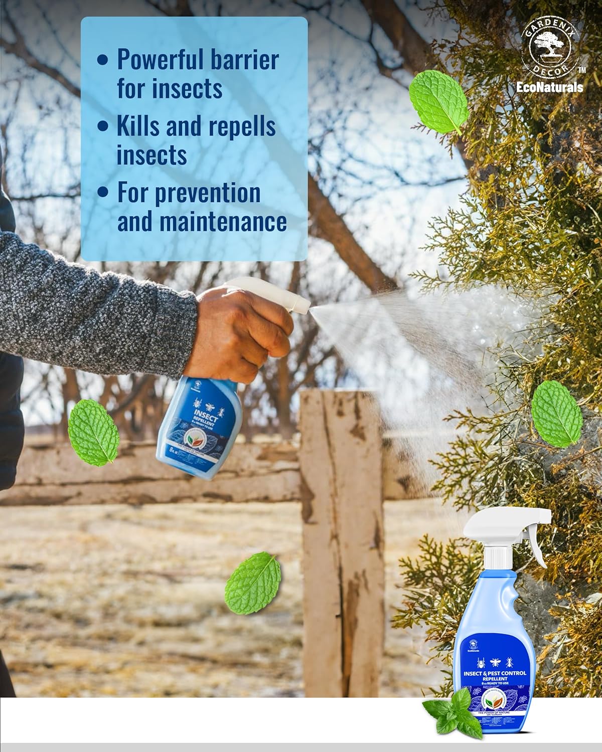 All Natural Bug Spray for Home - Non-Toxic Peppermint Oil Insect and Pest Control Kit - 8 oz Ready-to-Use Bug Spray - Indoor and Outdoor Protection- Ant Spray - Spider Repellent Indoor