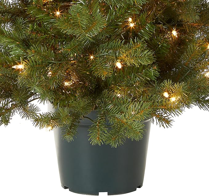 National Tree Company 3 ft Pre-Lit Hampton Spruce Mini Artificial Christmas Tree, 100 Clear Lights, 579 Tips, Green Growers Pot
