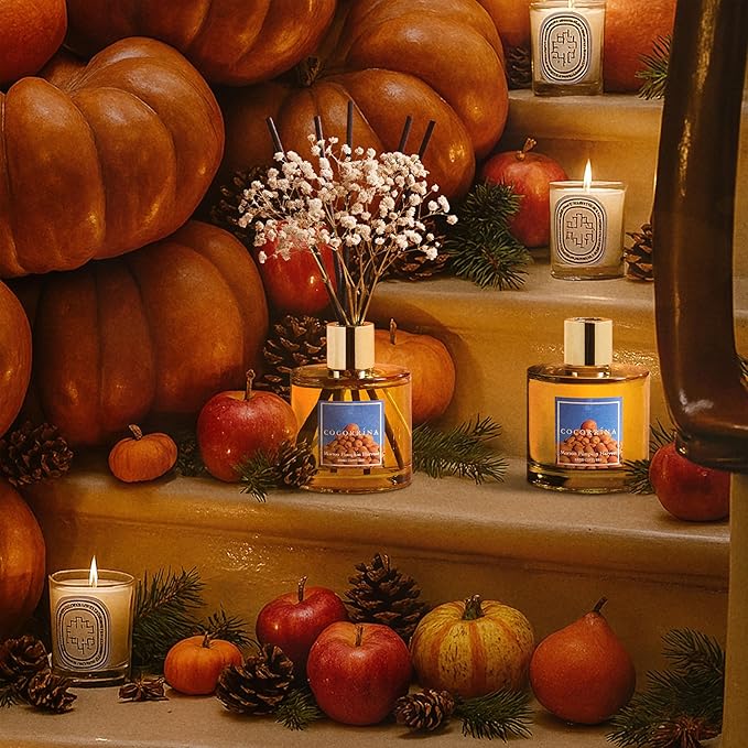 COCORRÍNA Reed Diffuser - Morton Pumpkin Harvest Reed Diffuser Set with 8 Sticks & Preserved Baby's Breath, Reed Diffuser for Home Bathroom Shelf Decor