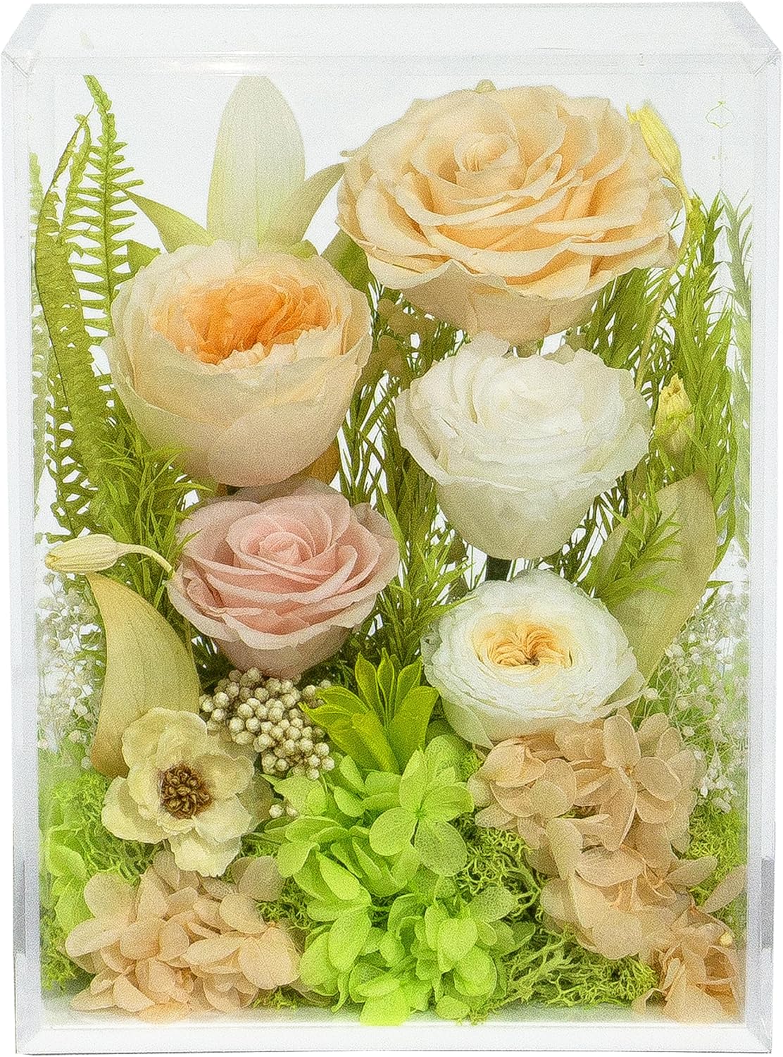 Valley of Rain & Forest Long-Lasting Real Flowers, Handcrafted Preserved Rose Bush For you to Send Love for All Occasions, Floral Arrangement for Indoor Decoration, Champagne Yellow Rose Spring-themed